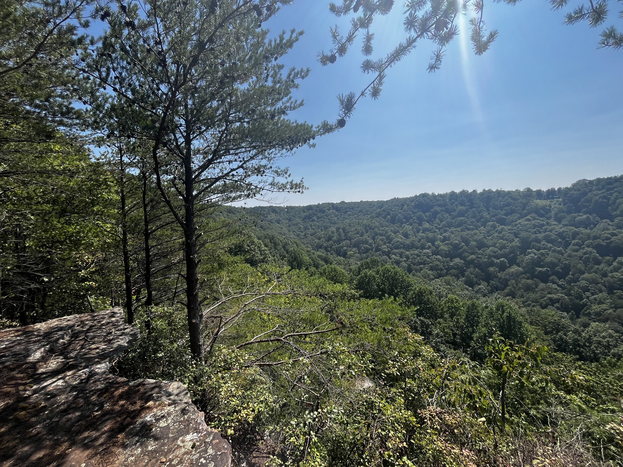 323 Timberwood Trace Monteagle, TN 37356 - Photo 6 of 12