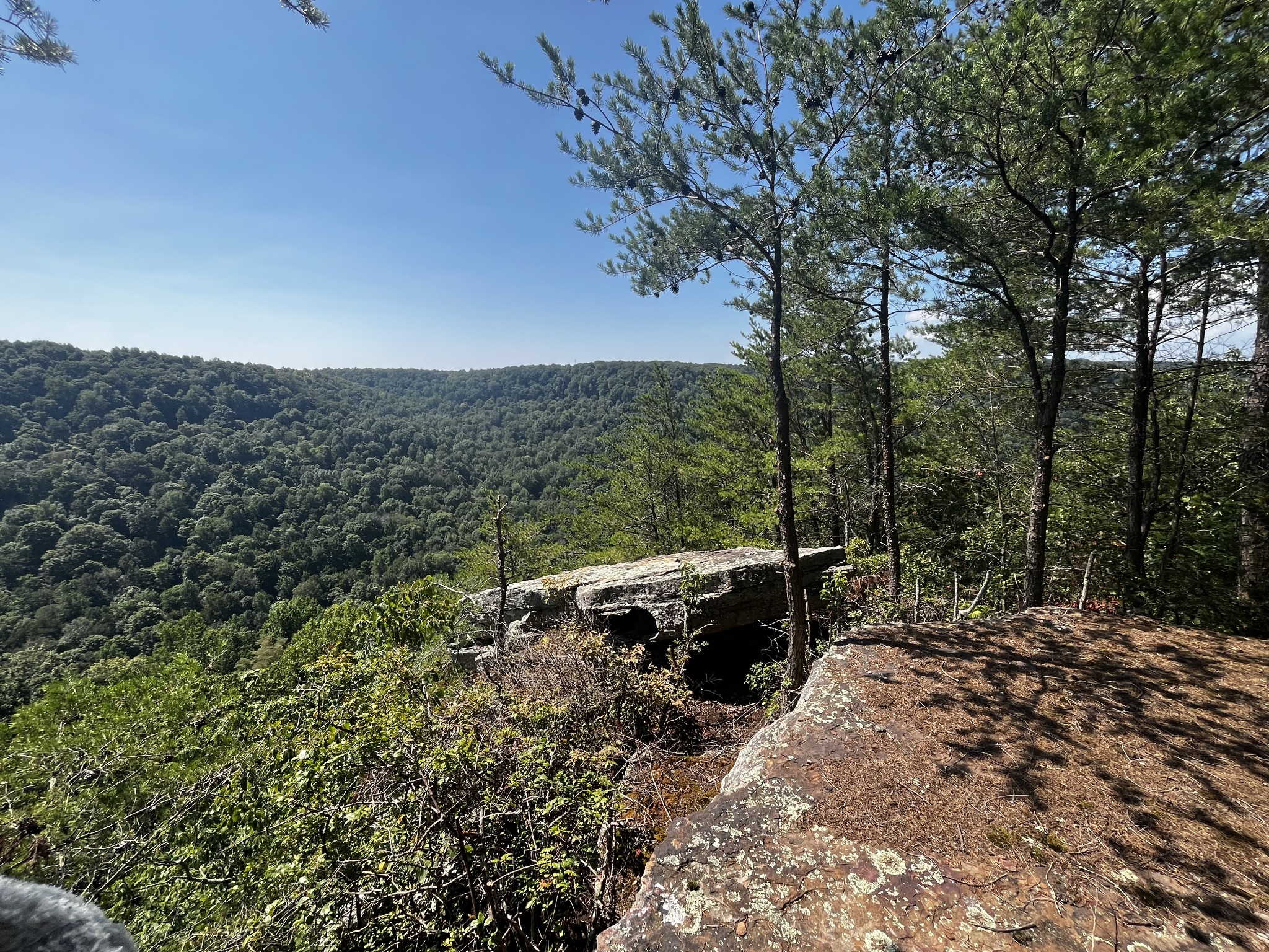 323 Timberwood Trace Monteagle, TN 37356 - Photo 7 of 12