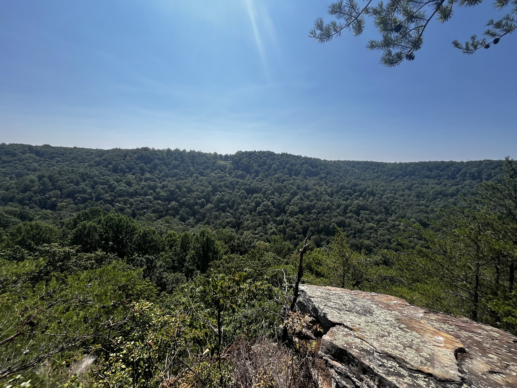 323 Timberwood Trace Monteagle, TN 37356 - Photo 8 of 12