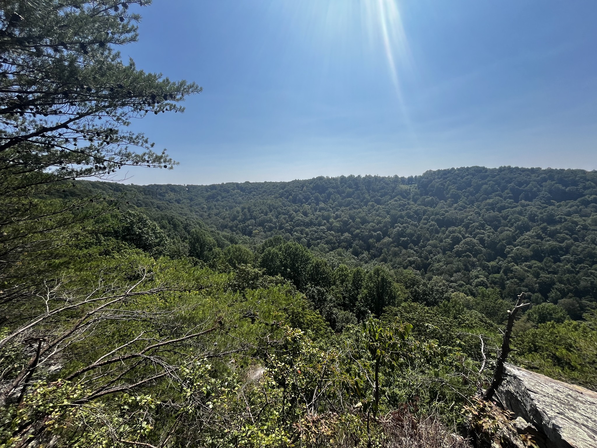 323 Timberwood Trace Monteagle, TN 37356 - Photo 9 of 12