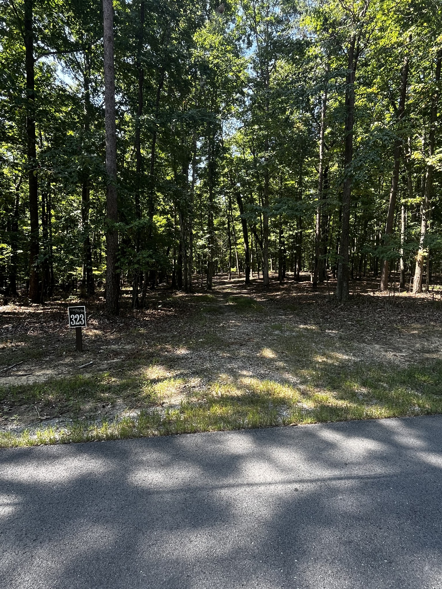 323 Timberwood Trace Monteagle, TN 37356 - Photo 10 of 12