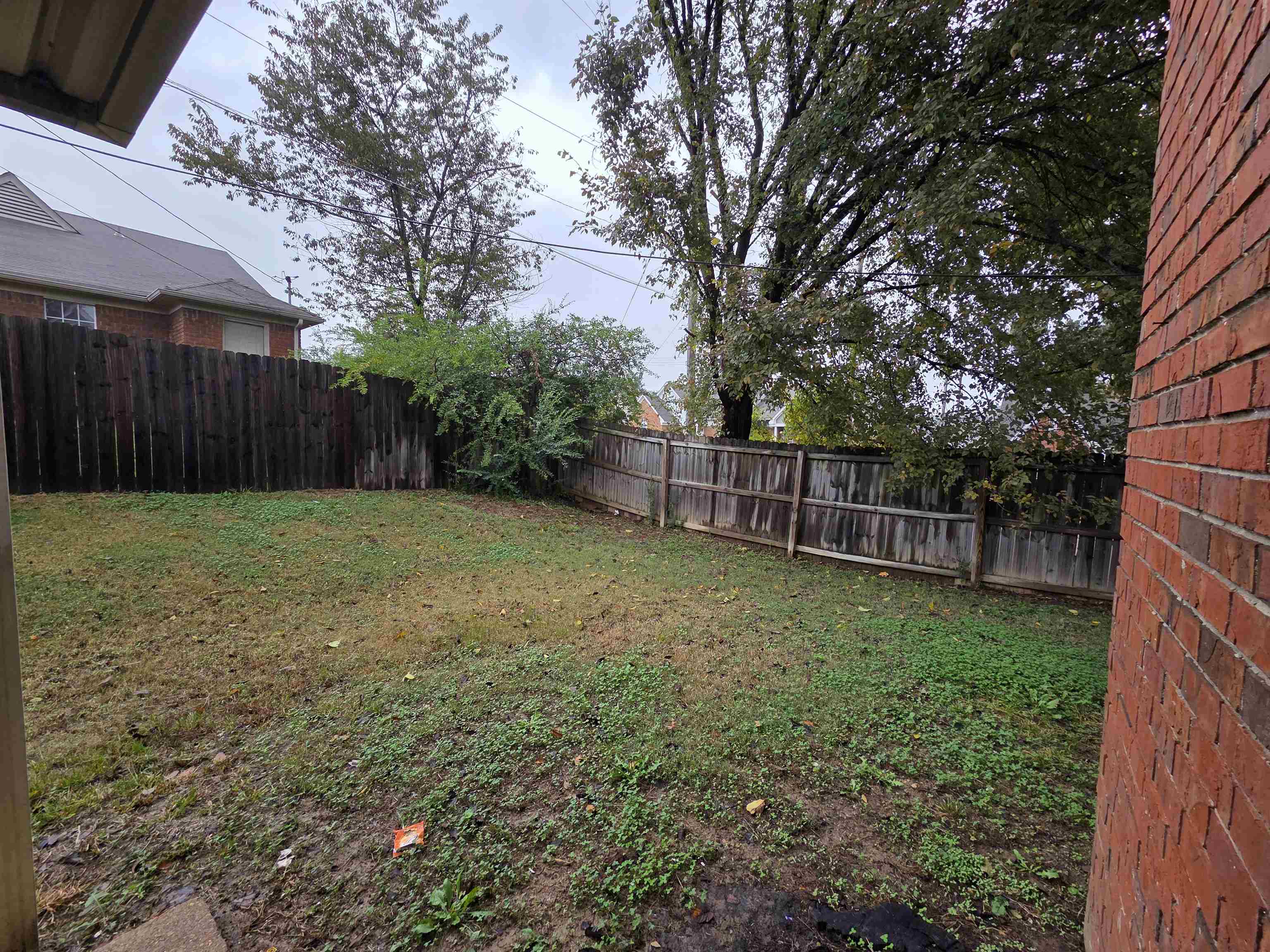 3945 Oak Branch Circle East Memphis, TN 38135 - Photo 5 of 24 a view of a backyard with a trees