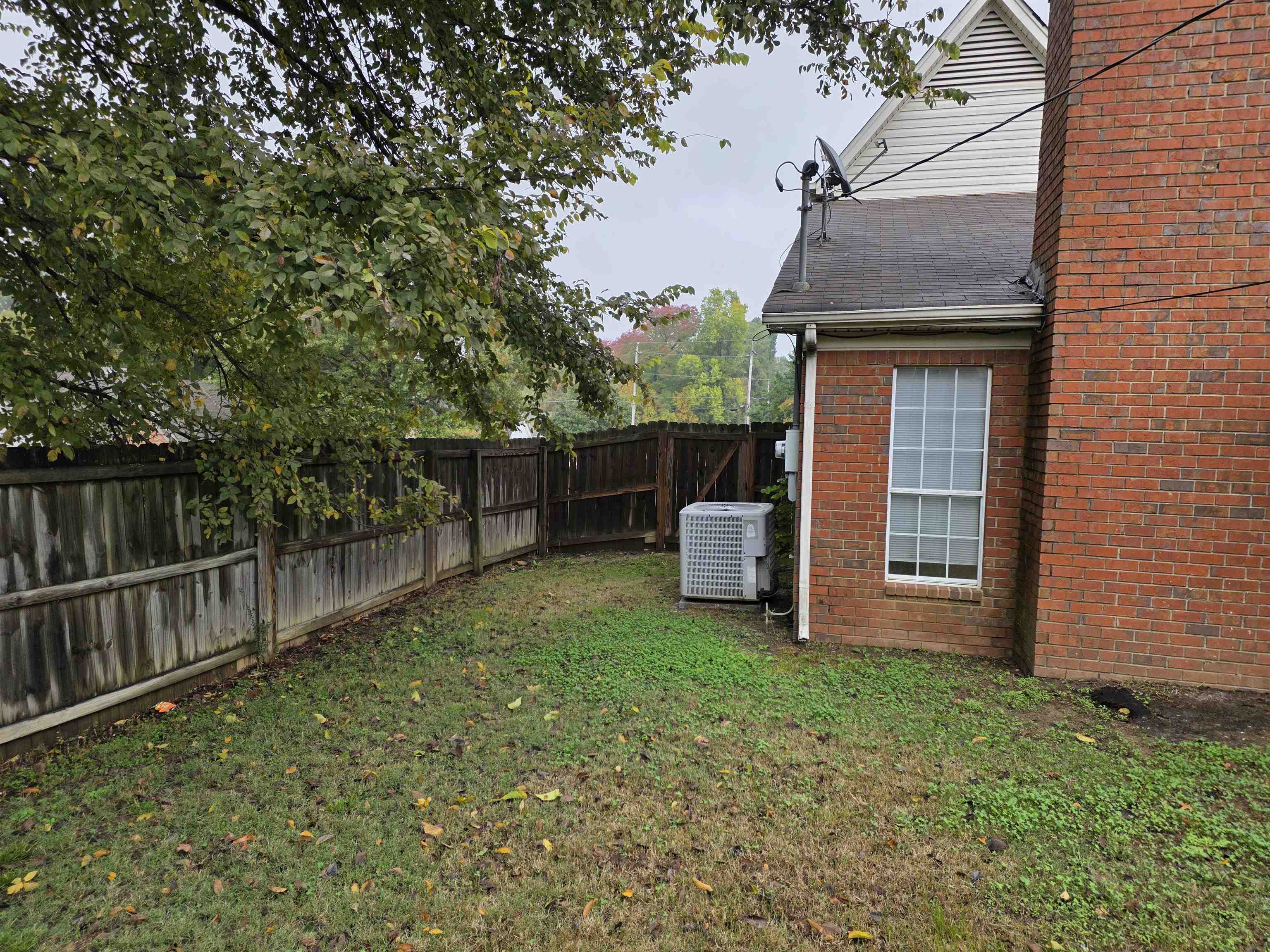 3945 Oak Branch Circle East Memphis, TN 38135 - Photo 6 of 24 a house view with a outdoor space