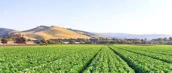 $1,750,000 | 326 Central Avenue, Salinas, CA 93901