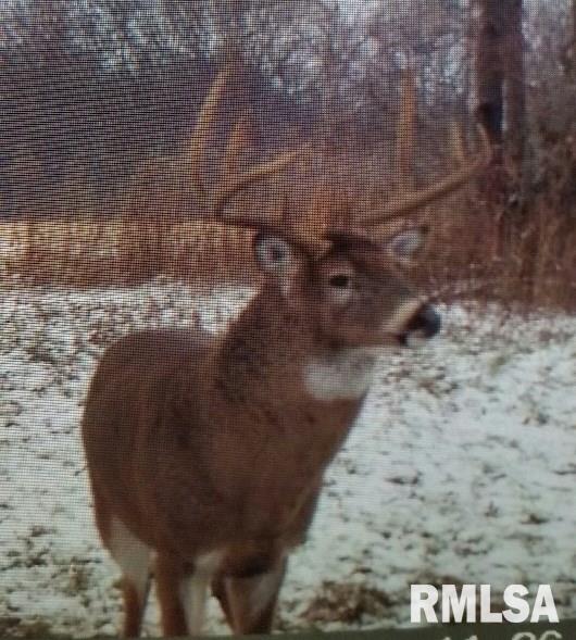 22612 North Hampton Road Chillicothe, IL 61523 - Photo 36 of 36 Gallery Image 36
