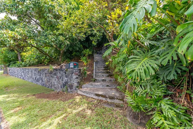 a view of a yard with plants and large trees