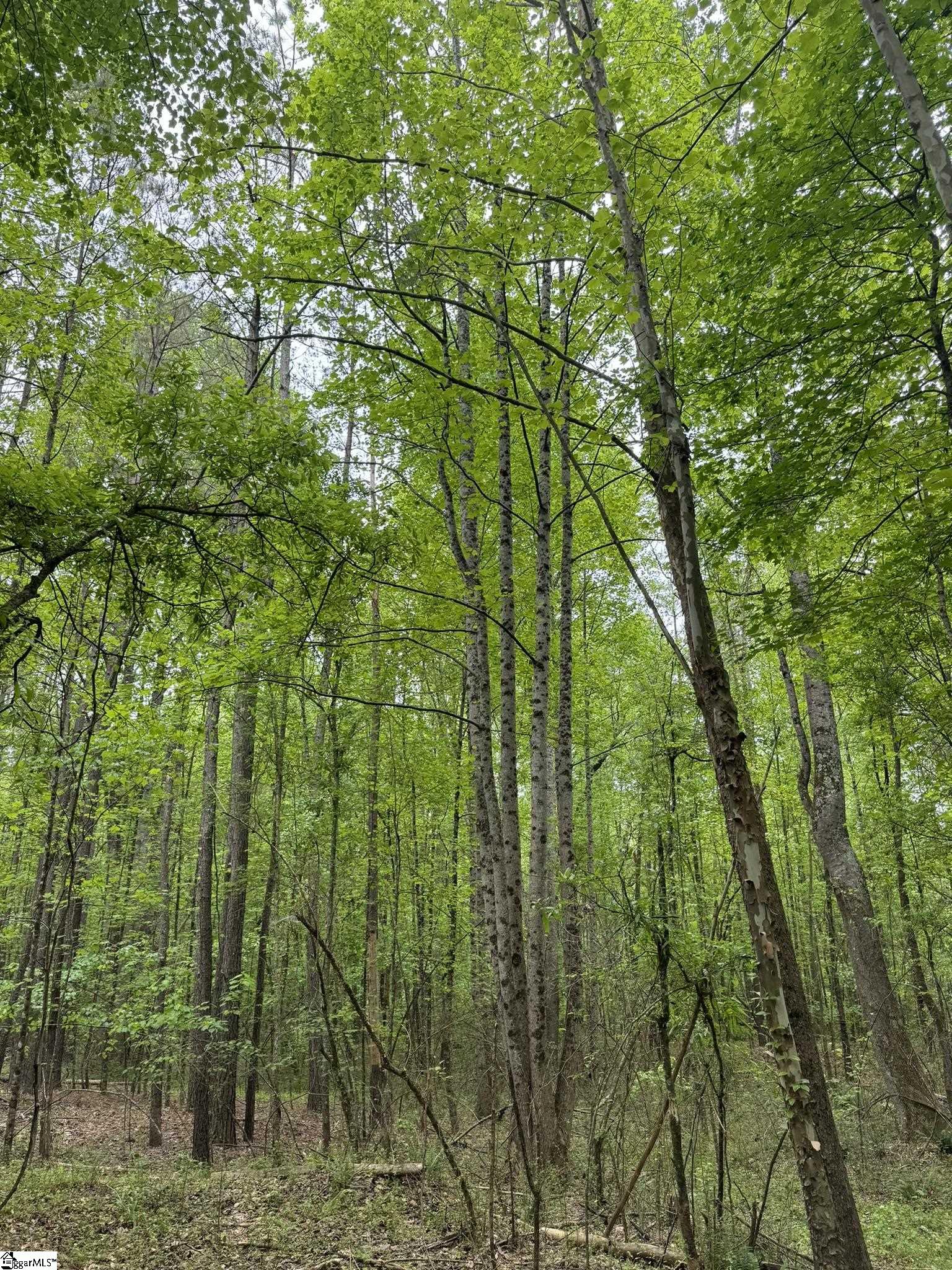 7 Griffin Mill Road Pickens, SC 29671 - Photo 1 of 5