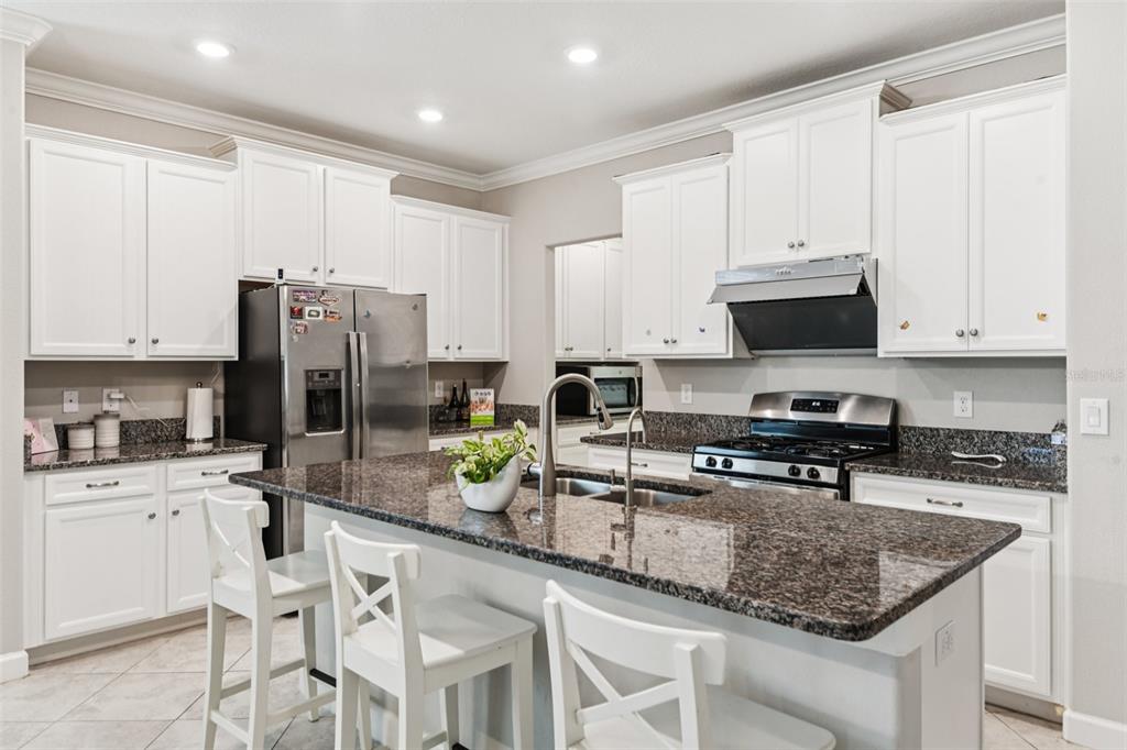 24928 Lambrusco Loop Lutz, FL 33559 - Photo 13 of 57