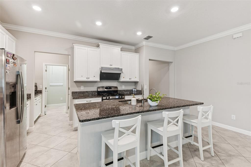 24928 Lambrusco Loop Lutz, FL 33559 - Photo 15 of 57