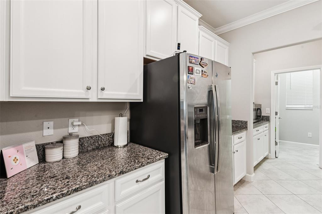 24928 Lambrusco Loop Lutz, FL 33559 - Photo 16 of 57