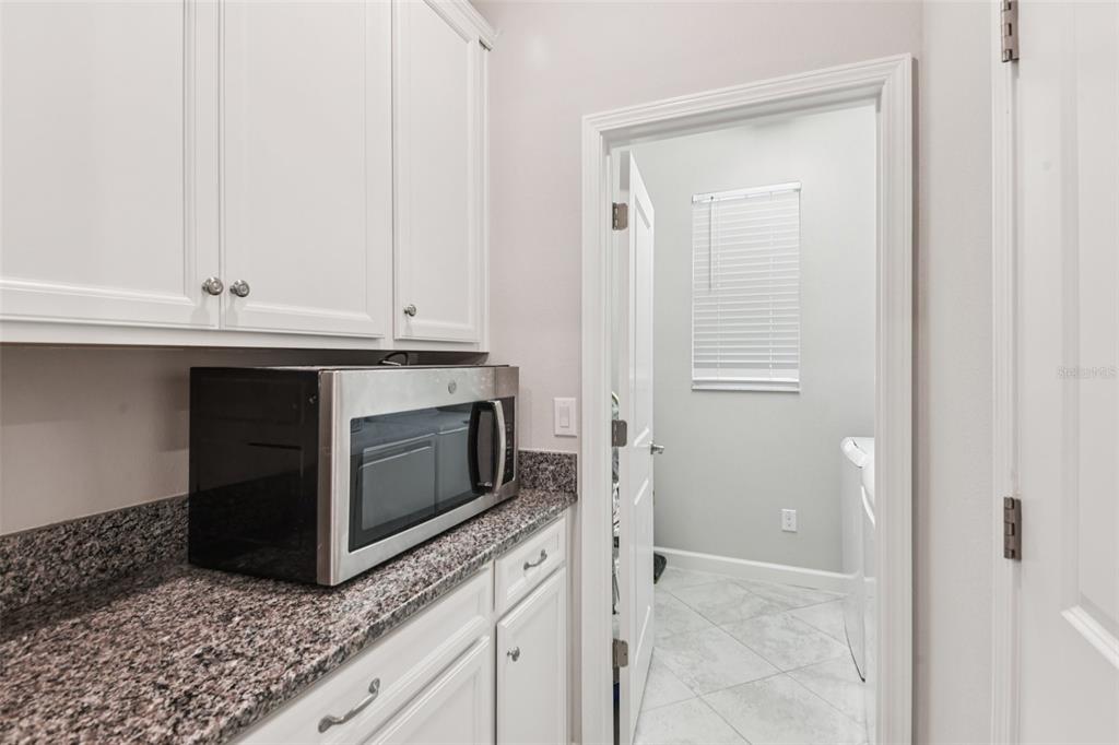 24928 Lambrusco Loop Lutz, FL 33559 - Photo 17 of 57