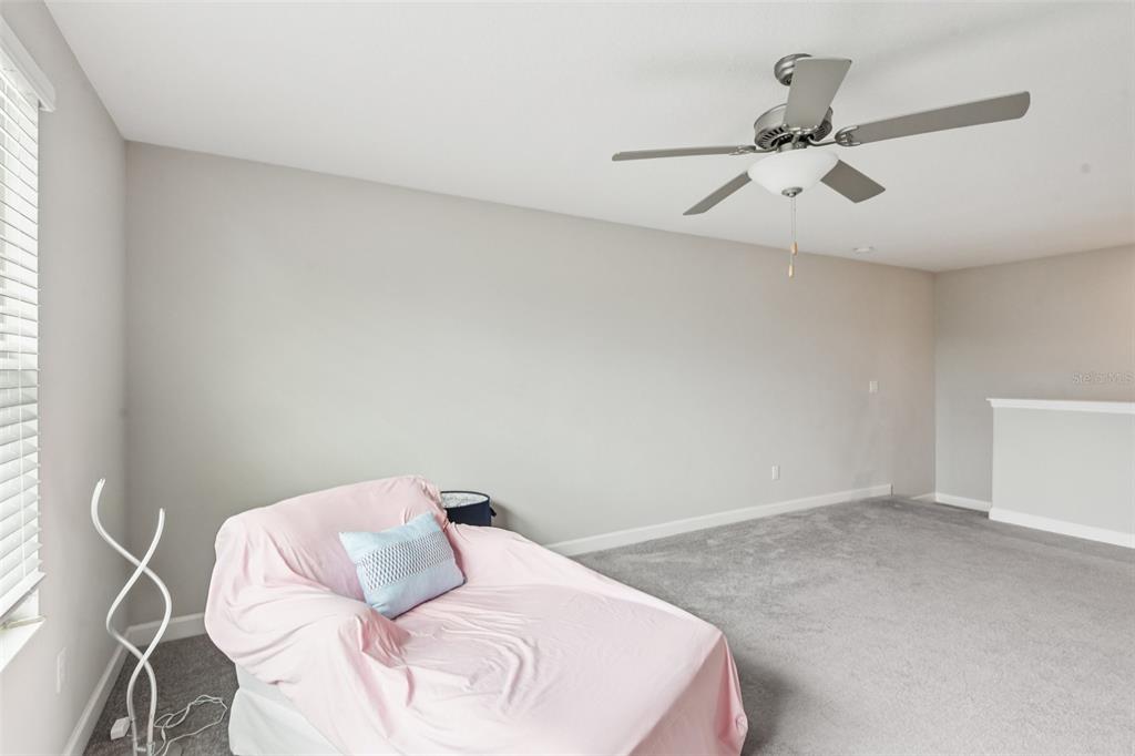 24928 Lambrusco Loop Lutz, FL 33559 - Photo 27 of 57