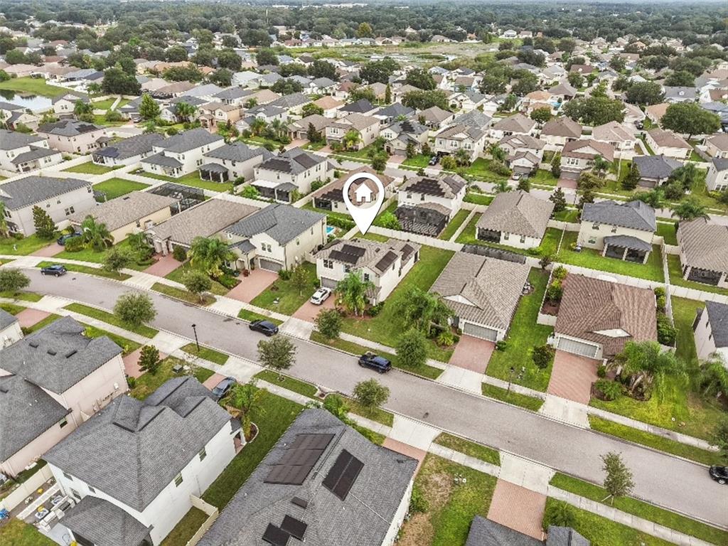 24928 Lambrusco Loop Lutz, FL 33559 - Photo 48 of 57