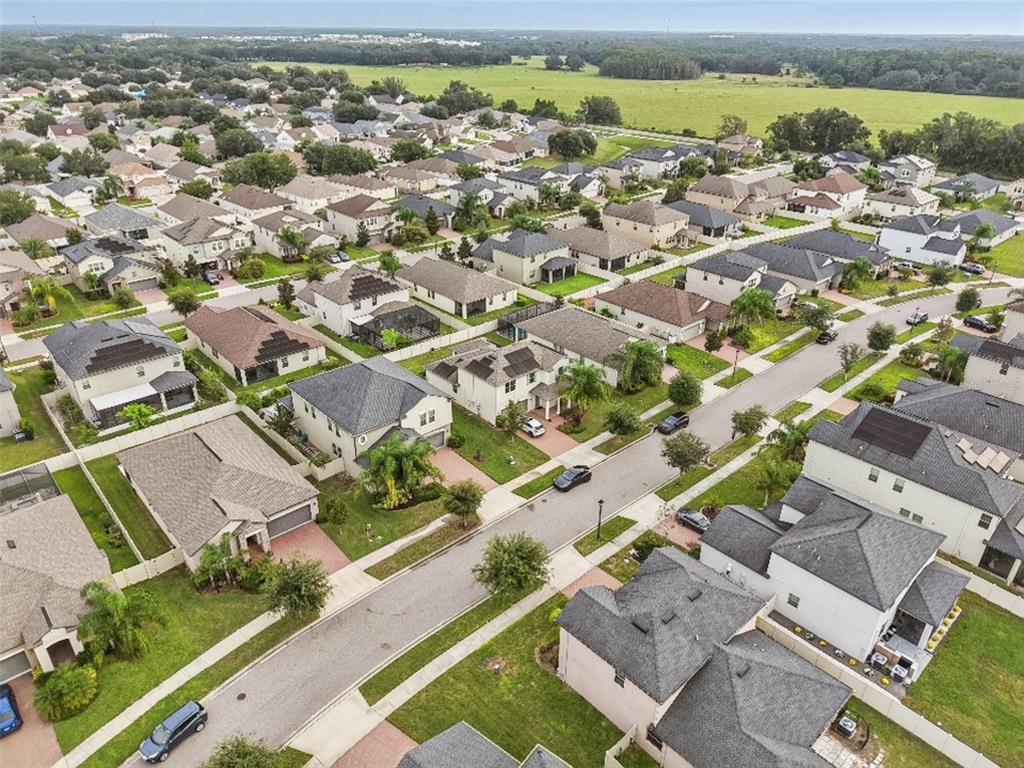 24928 Lambrusco Loop Lutz, FL 33559 - Photo 49 of 57