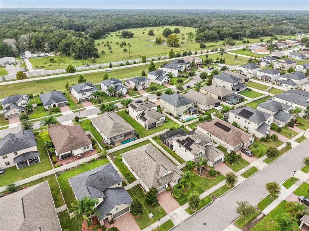 24928 Lambrusco Loop Lutz, FL 33559 - Photo 53 of 57