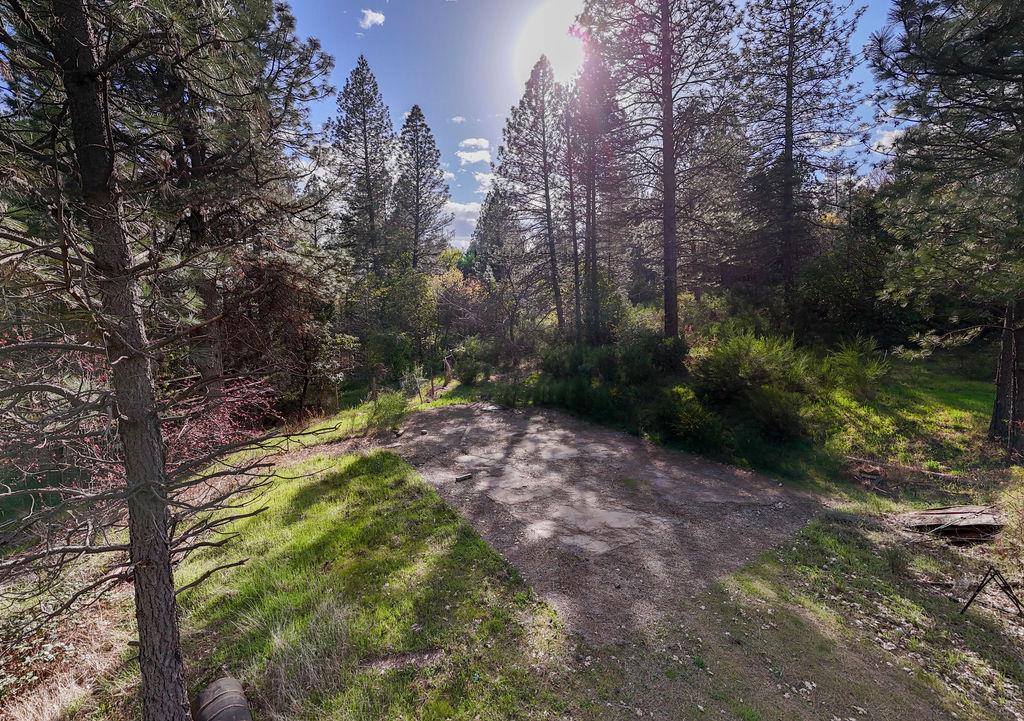 10571 Sebastopol Road North San Juan, CA 95960 - Photo 3 of 34 Gallery Image 3