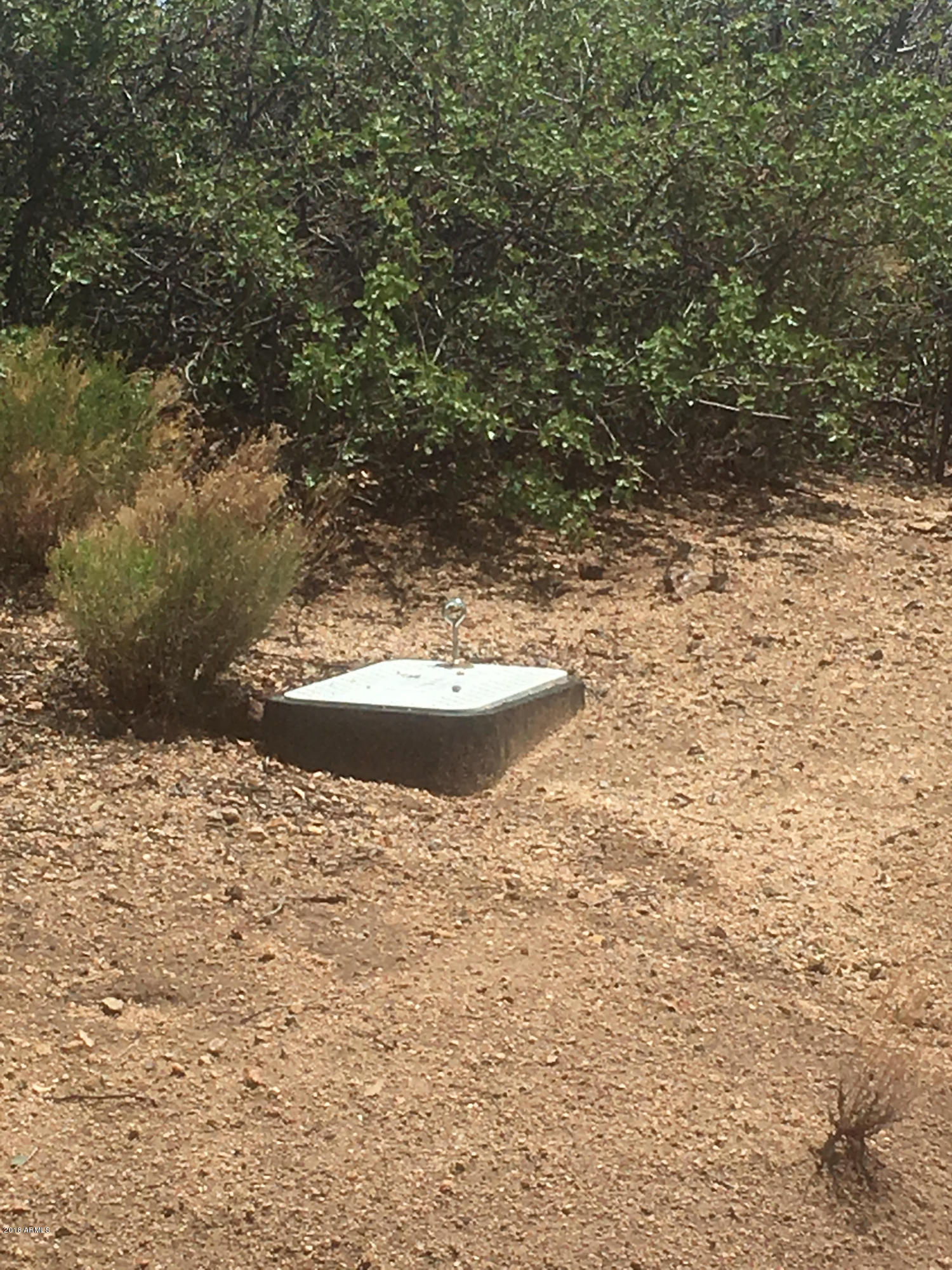 7965 West Hampton Road, Unit LOT 36 Wilhoit, AZ 86332 - Photo 3 of 3 Water meter