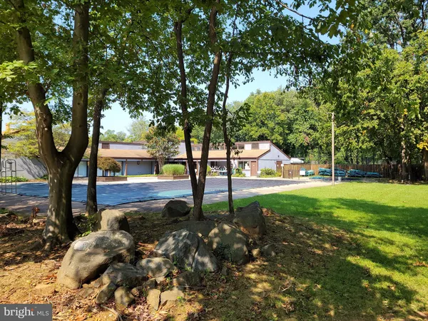 a view of a yard with a tree