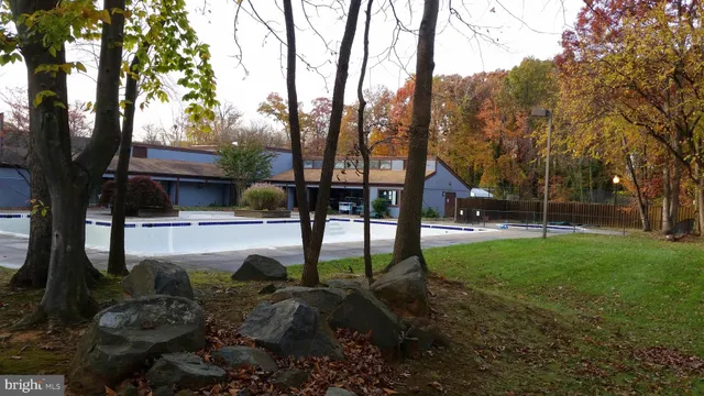 a view of backyard with tree