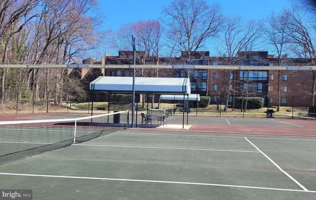 a view of a tennis ground with large trees