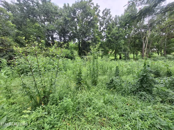 $130,000 | 426 Rudd Hollow Road, Townsend, TN 37882