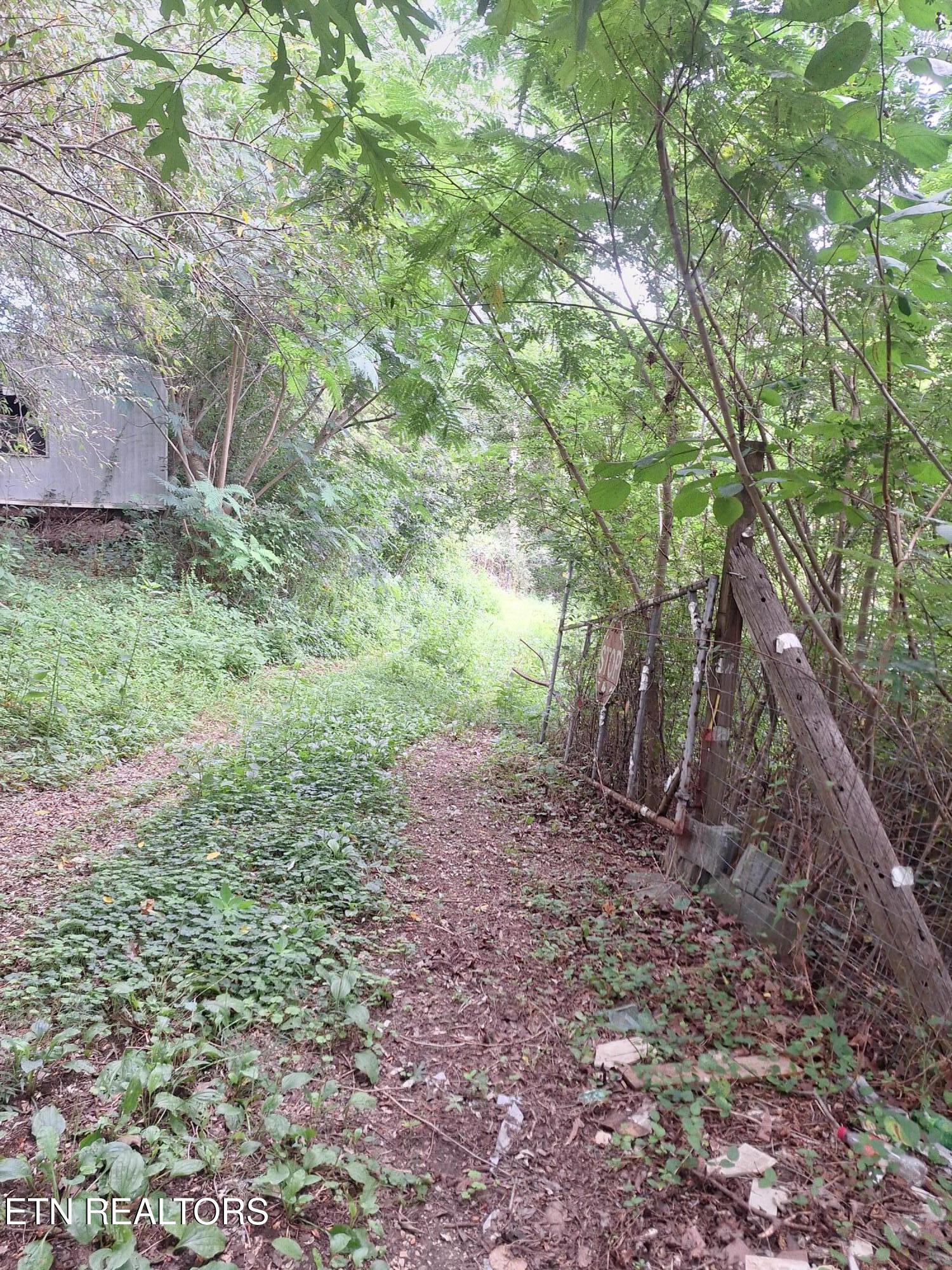 426 Rudd Hollow Road Townsend, TN 37882 - Photo 3 of 5 20250811_132655