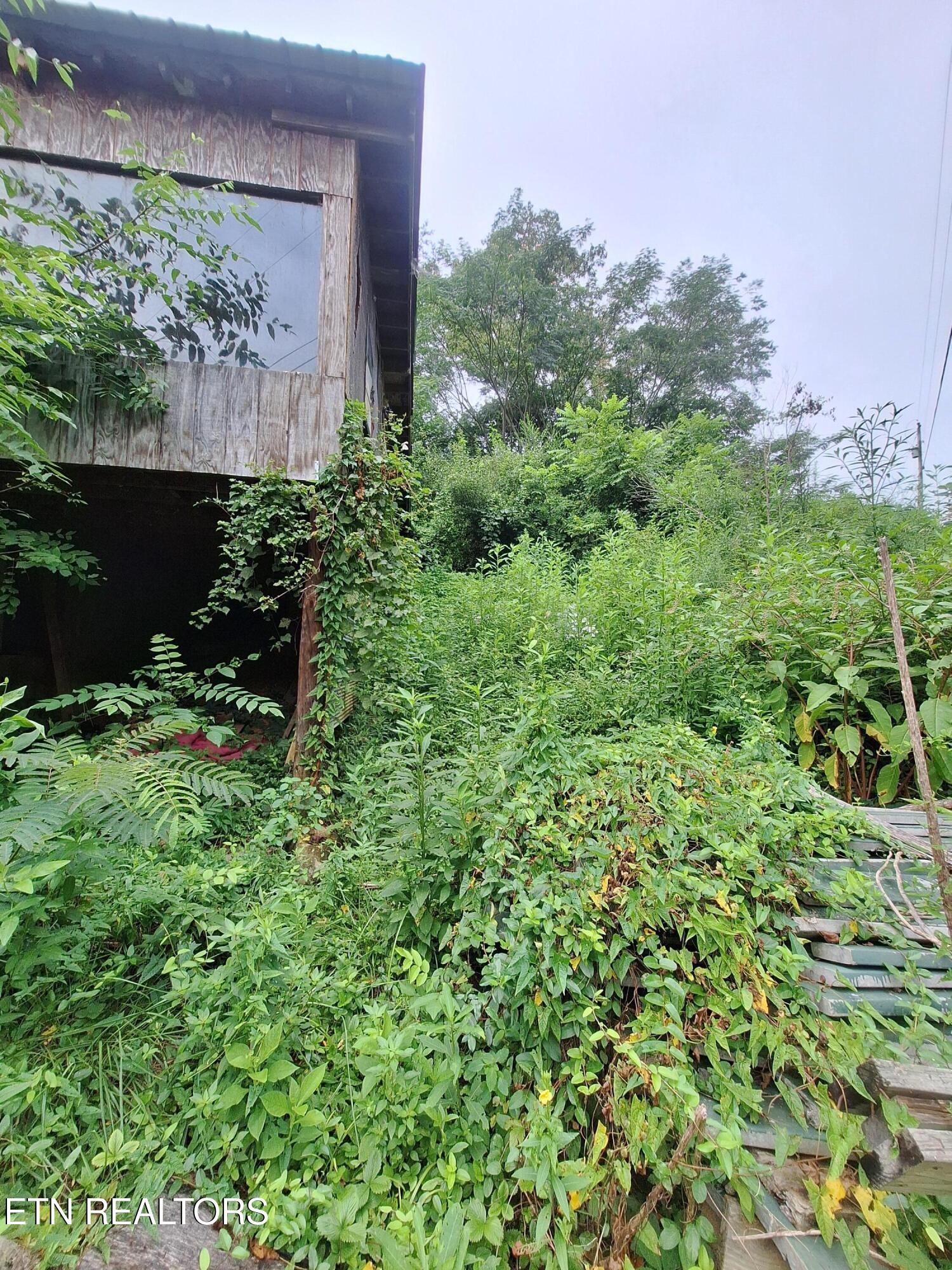 426 Rudd Hollow Road Townsend, TN 37882 - Photo 4 of 5 20250811_133110