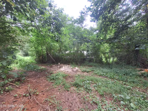 $130,000 | 426 Rudd Hollow Road, Townsend, TN 37882