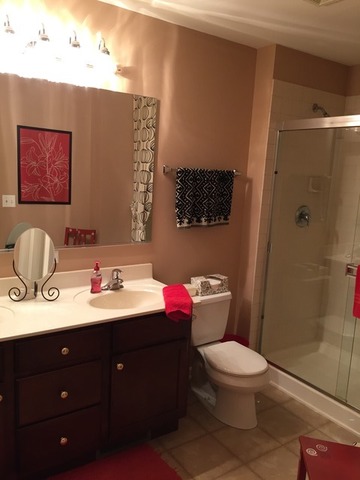 1429 Draper Road, Unit 1429 McHenry, IL 60050 - Photo 4 of 7 a bathroom with a sink vanity mirror and toilet