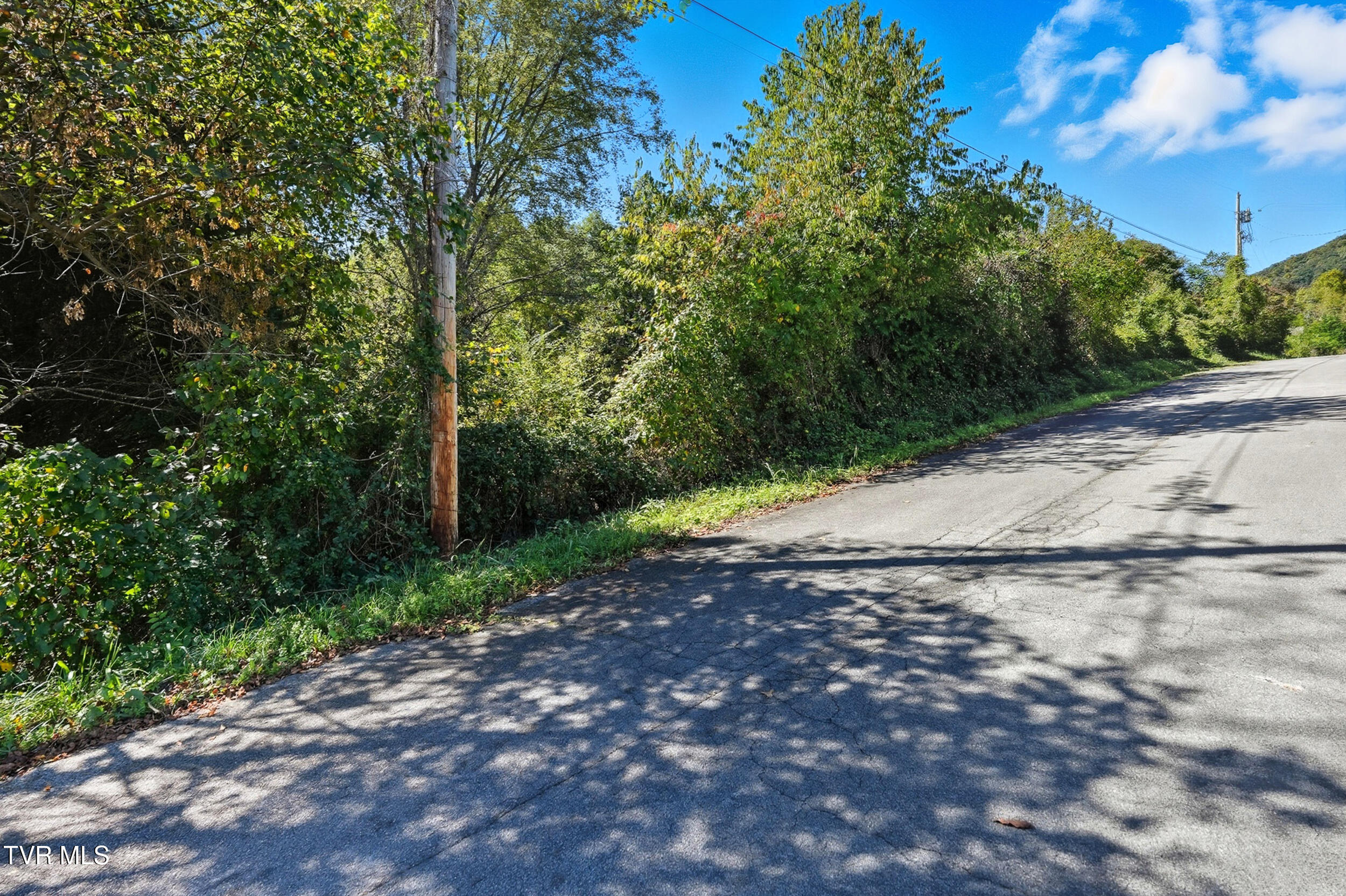 Tbd Tbd Lane, Unit 4 Unicoi, TN 37692 - Photo 14 of 20 1_dsc06134