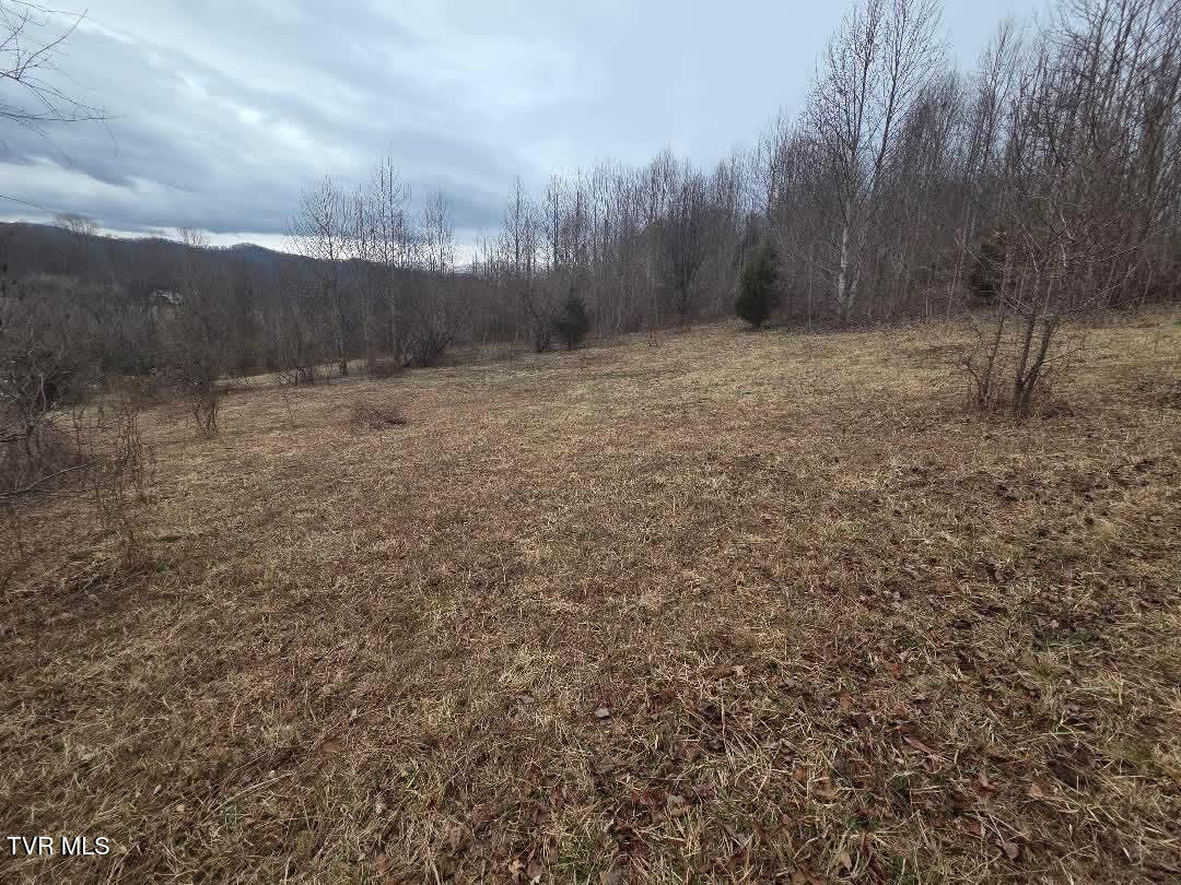 Tbd Tbd Lane, Unit 4 Unicoi, TN 37692 - Photo 16 of 20 15B6EB61-52EA-4B93-A571-C05FC8F9A50D