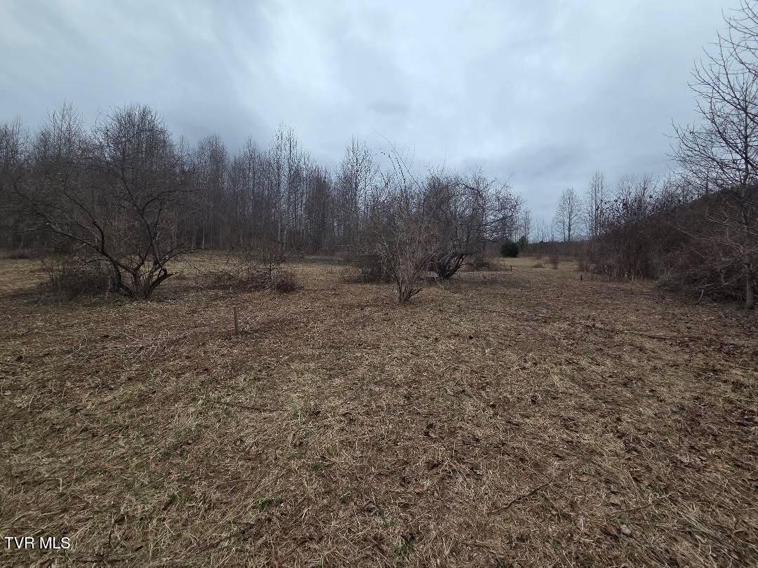Tbd Tbd Lane, Unit 4 Unicoi, TN 37692 - Photo 17 of 20 B23C8E1F-5960-403C-B2C2-1E2BD230DFFB