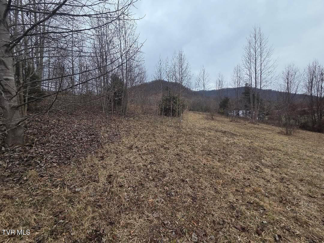 Tbd Tbd Lane, Unit 4 Unicoi, TN 37692 - Photo 18 of 20 ADF3D6CA-B0AB-4652-9602-08F40901CC85