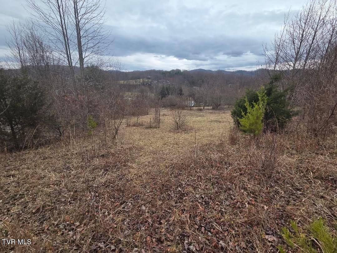 Tbd Tbd Lane, Unit 4 Unicoi, TN 37692 - Photo 19 of 20 FDEF8A11-5172-4248-A64D-B7D125F9E85C