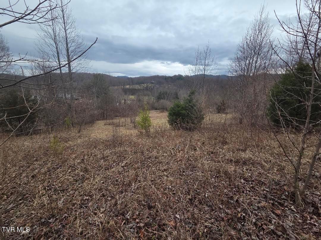 Tbd Tbd Lane, Unit 4 Unicoi, TN 37692 - Photo 20 of 20 B0F62008-B3A6-4CAC-8BFA-3268647FF3E7