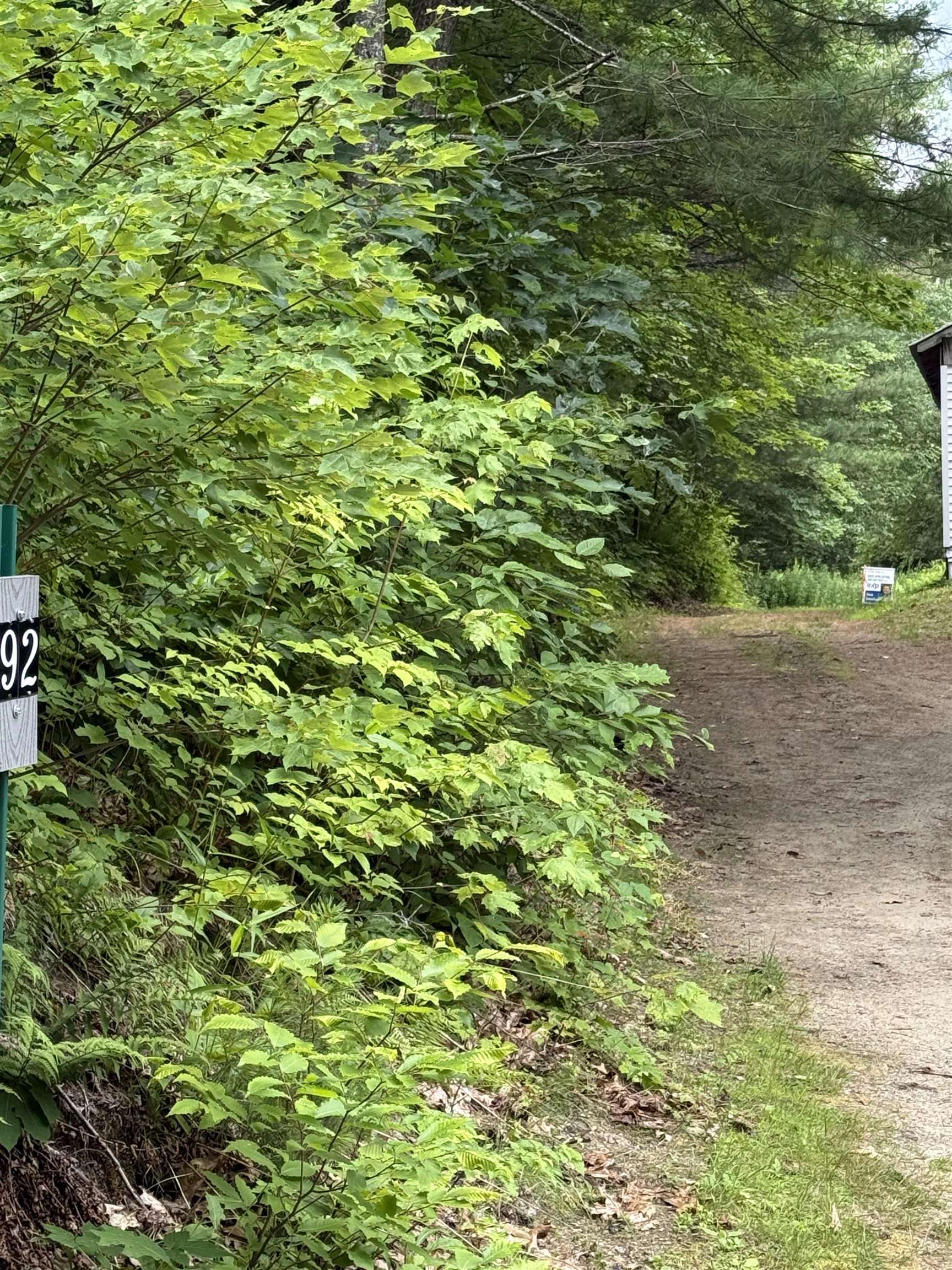 90 Stone Hill Road Rumney, NH 03266 - Photo 2 of 11
