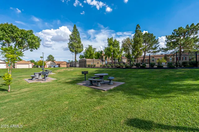 a view of a park with large trees