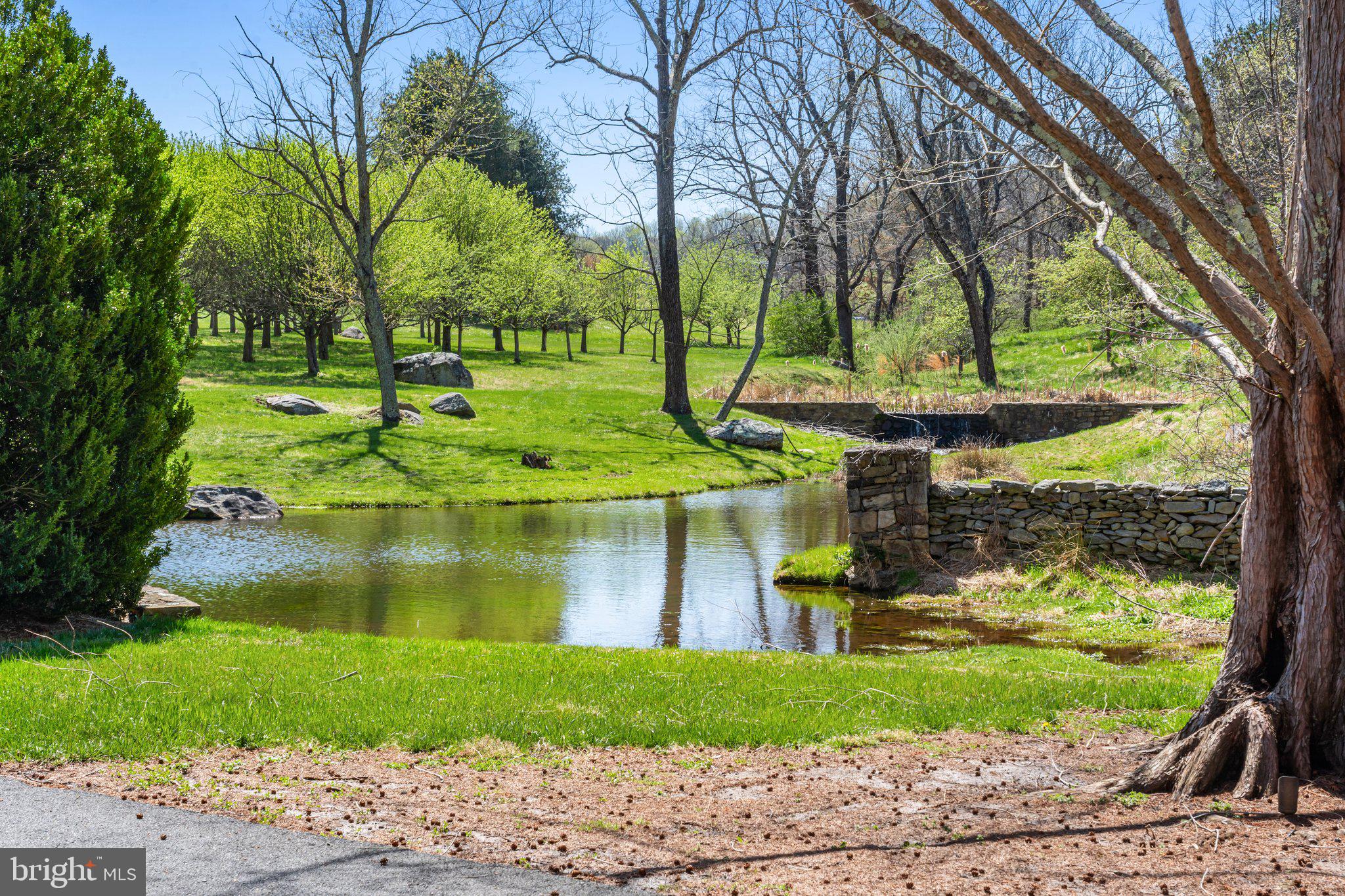 2547 Halfway Road The Plains, VA 20198 - Photo 11 of 90