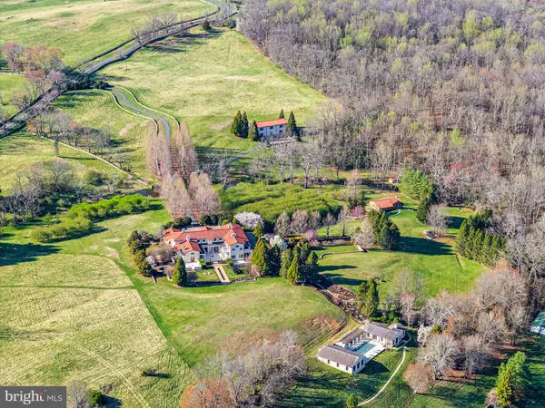 a view of a backyard with large trees
