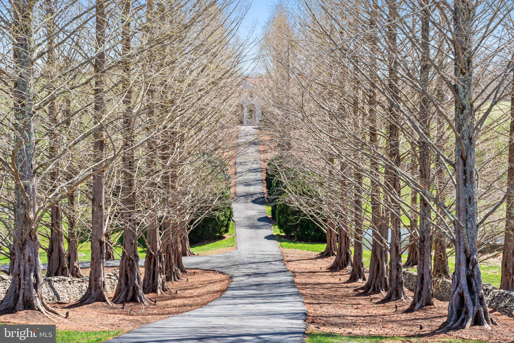2547 Halfway Road The Plains, VA 20198 - Photo 10 of 90