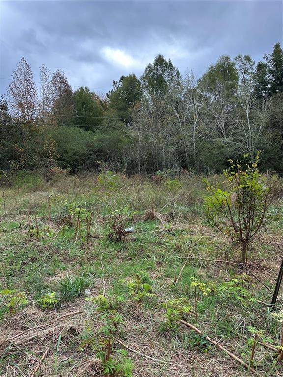 0 Benefield Road Cedartown, GA 30125 - Photo 2 of 6 a view of a lush green space