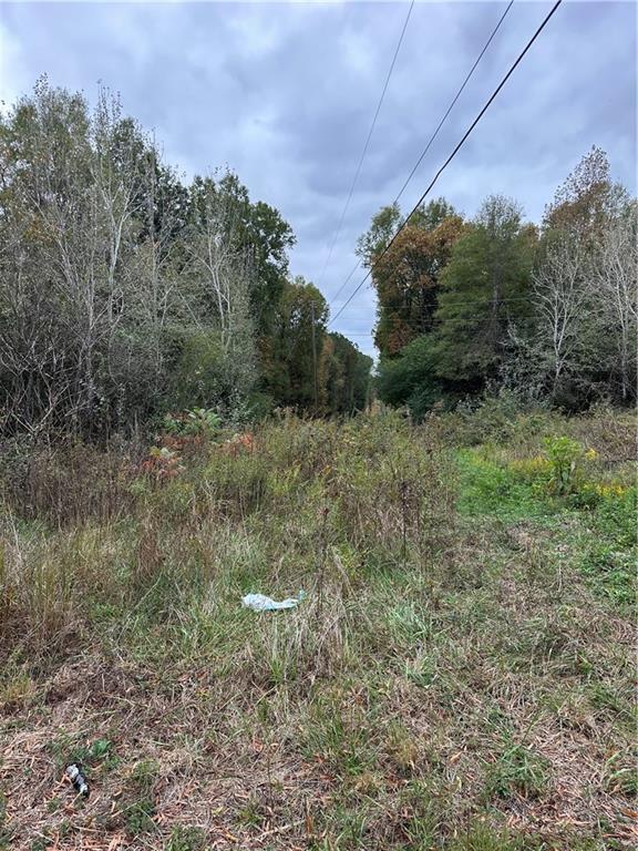 0 Benefield Road Cedartown, GA 30125 - Photo 4 of 6 a view of a field