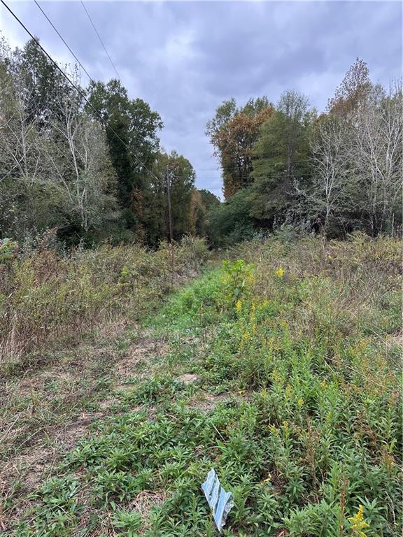 0 Benefield Road Cedartown, GA 30125 - Photo 6 of 6 a view of a dry yard with trees and stairs