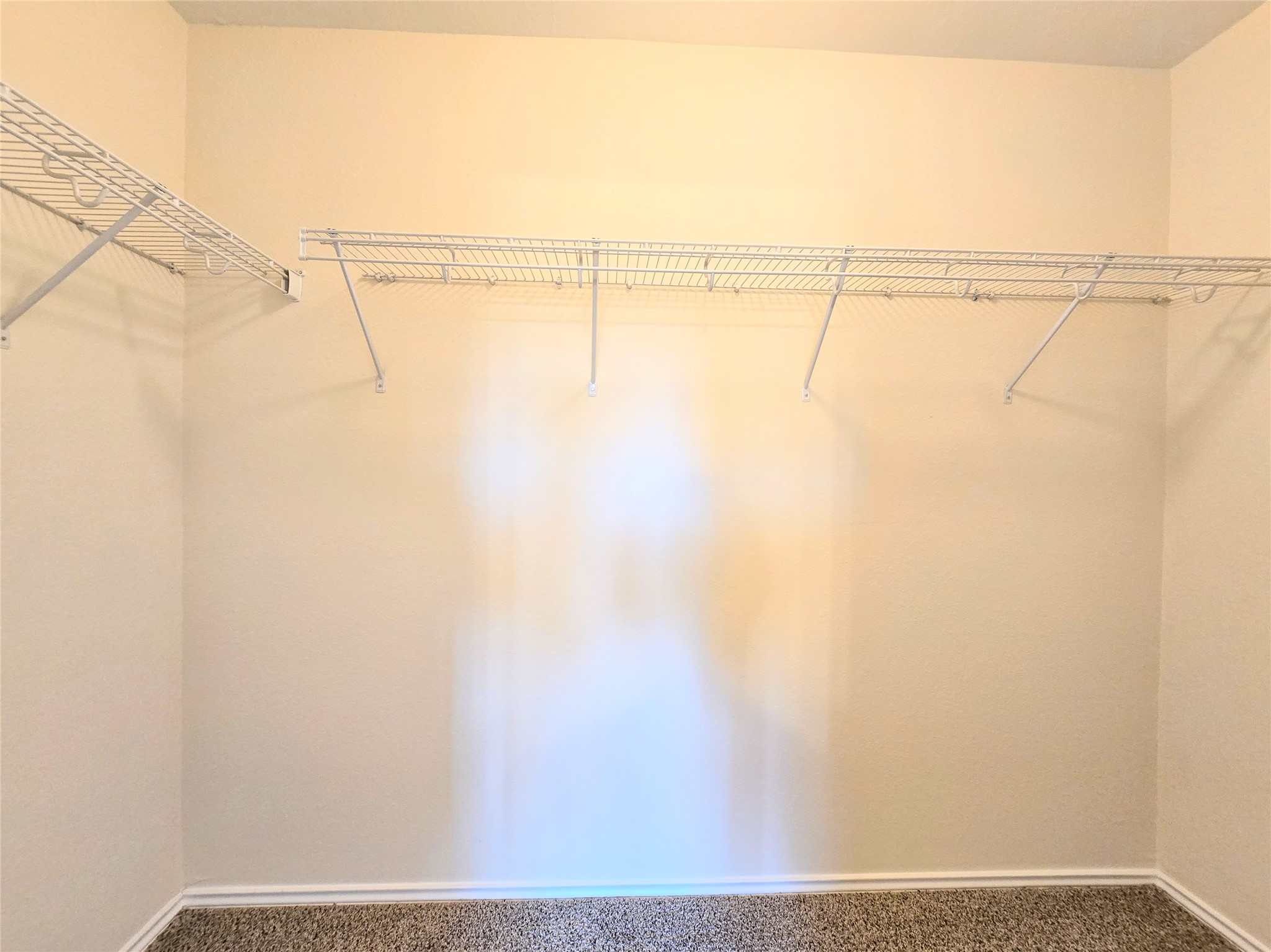 29527 Evergreen Hills Drive Spring, TX 77386 - Photo 23 of 27