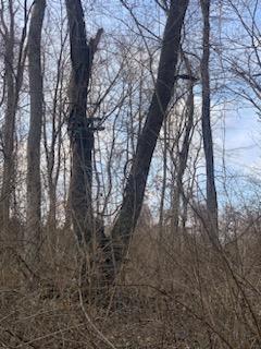 1725 West Point Road Southeast Lancaster, OH 43130 - Photo 75 of 82 8663705670868265126