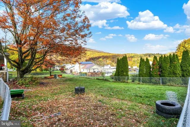 a view of a garden with a large tree