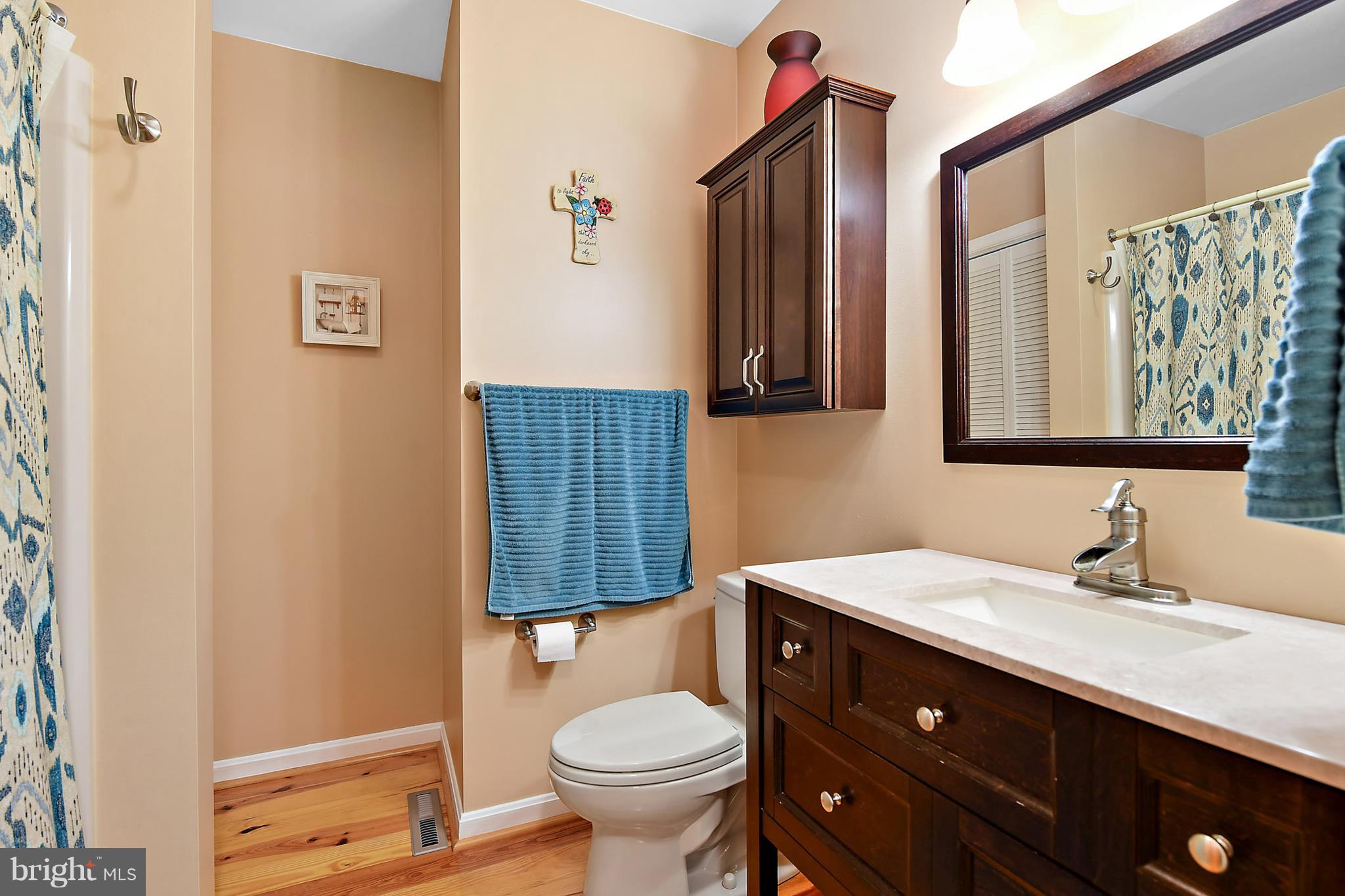 9310 Croppers Island Road Newark, MD 21841 - Photo 14 of 34 Guest Bath