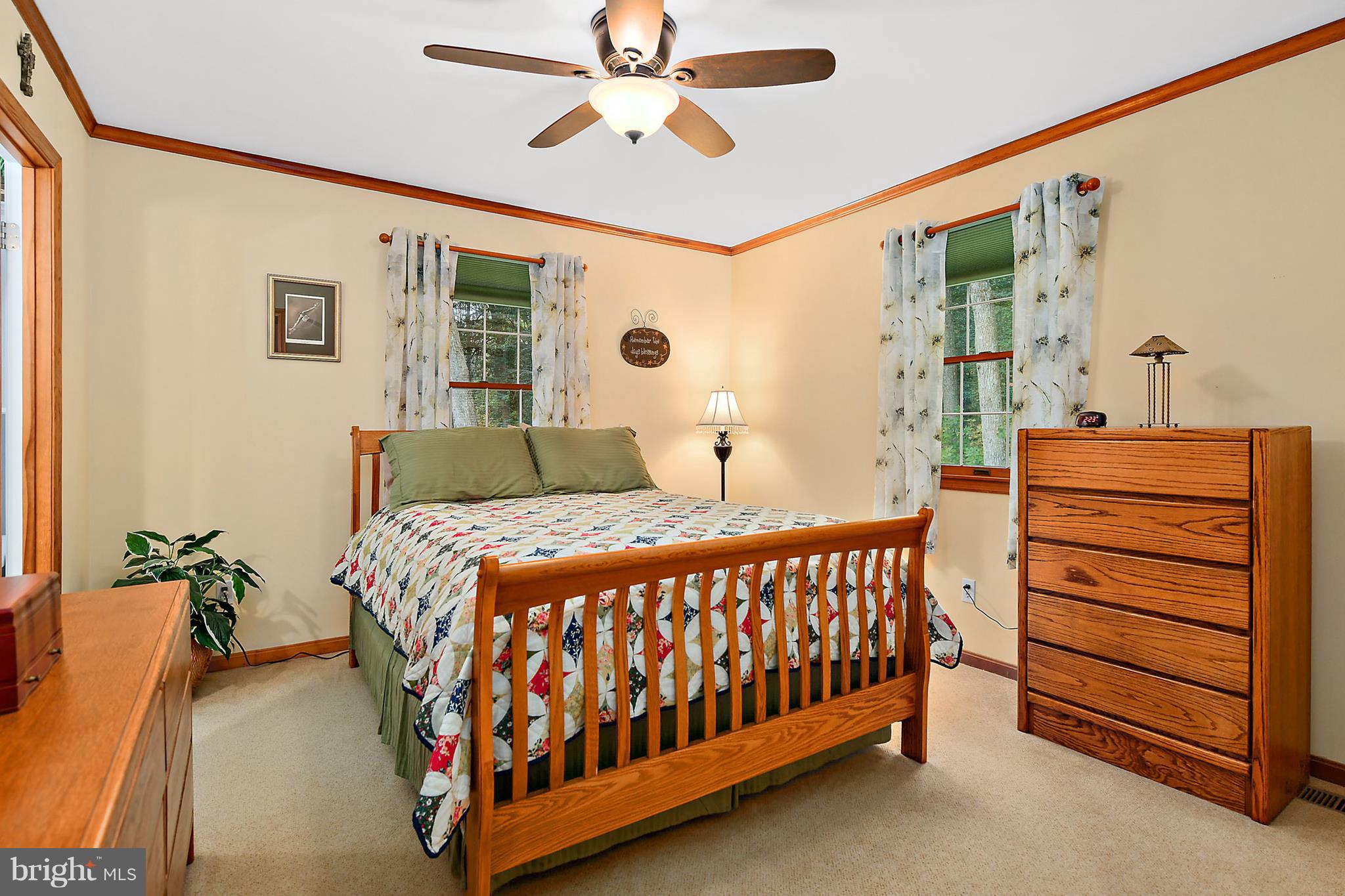 9310 Croppers Island Road Newark, MD 21841 - Photo 15 of 34 Master Bedroom
