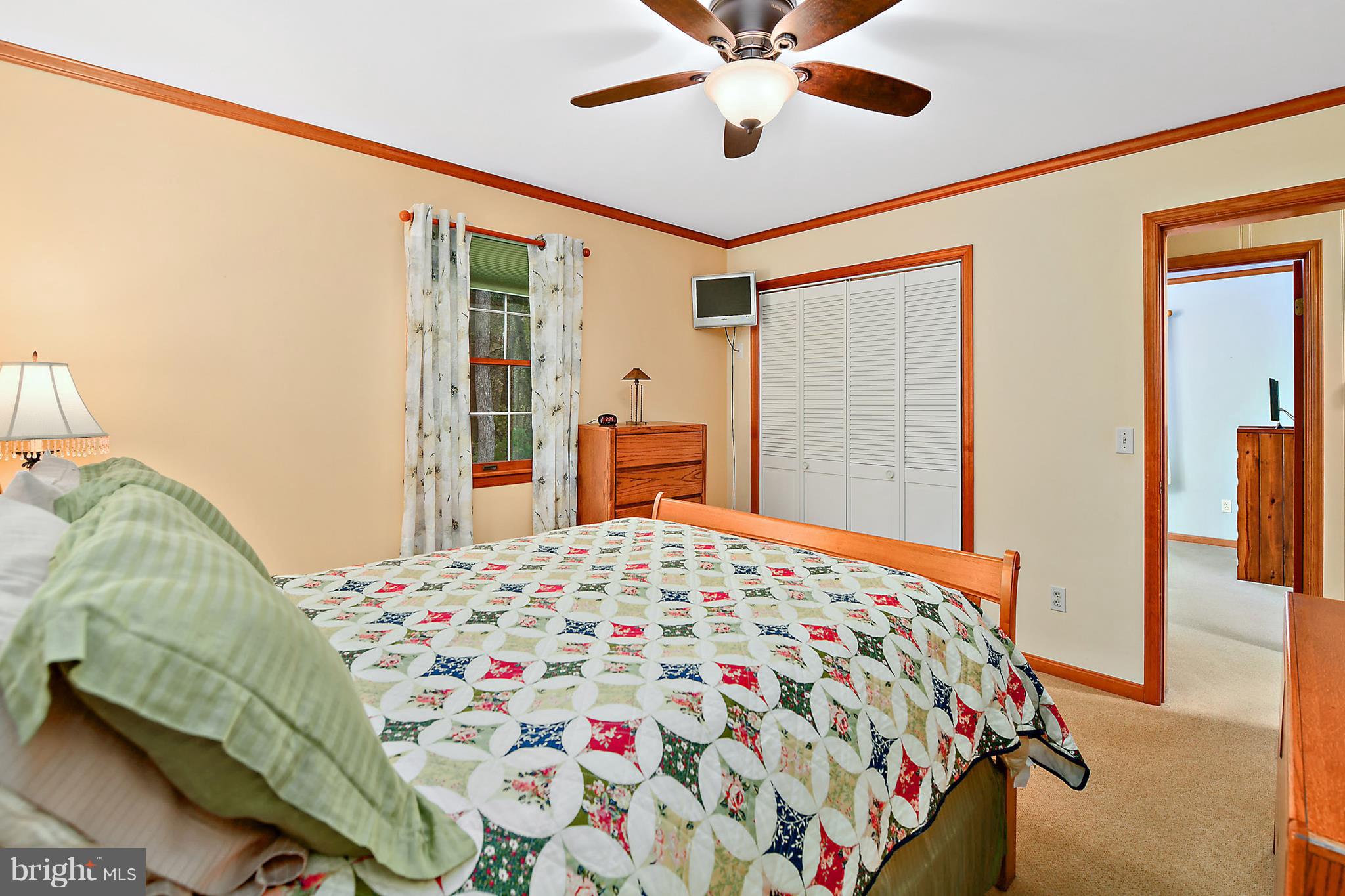 9310 Croppers Island Road Newark, MD 21841 - Photo 17 of 34 Master bedroom View3