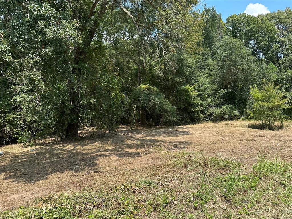 Tbd Tbd Sandbog Athens, TX 75751 - Photo 2 of 32